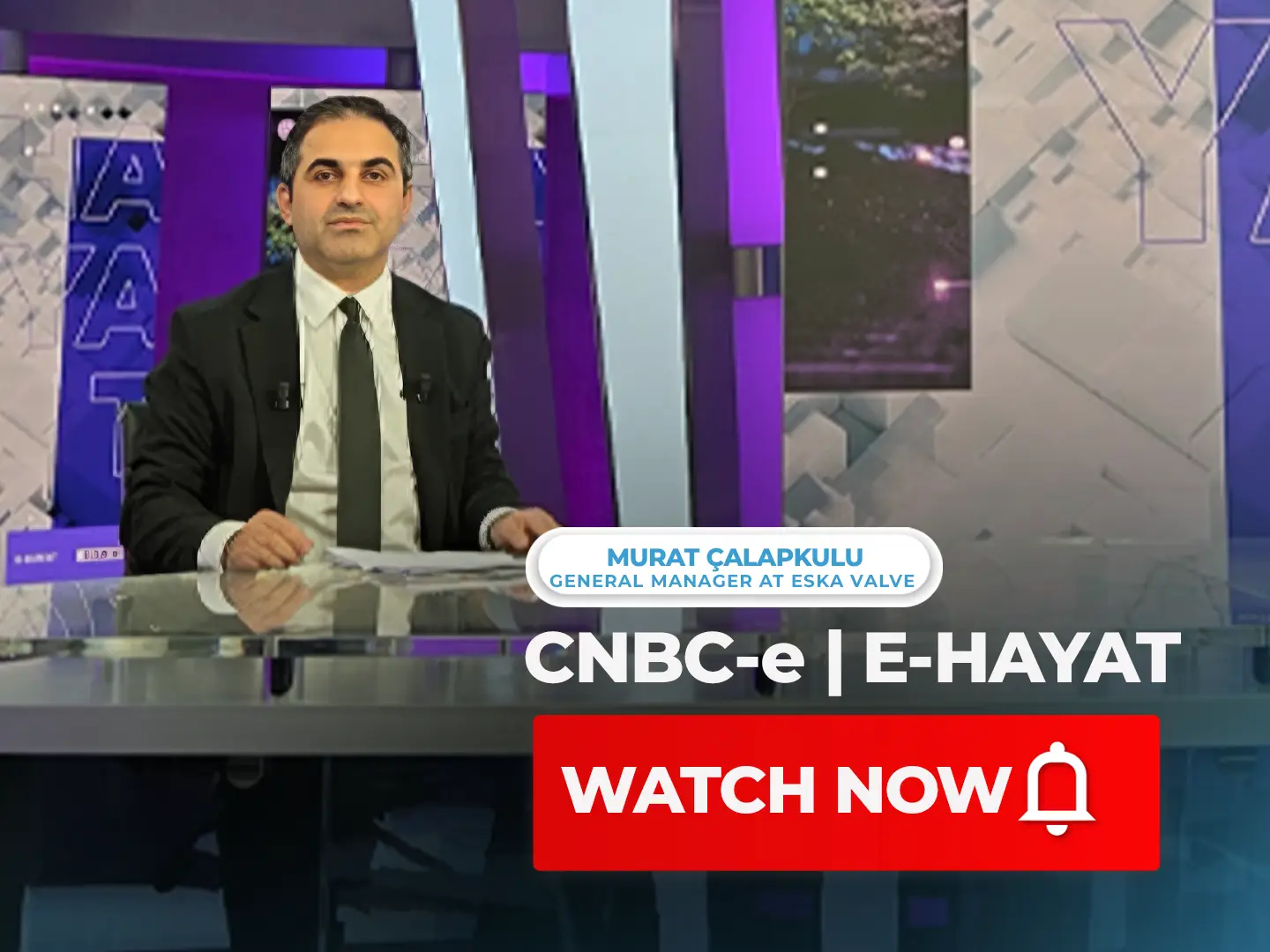 The Transformative Effects of Energy Policies and Digitalization on the Industry