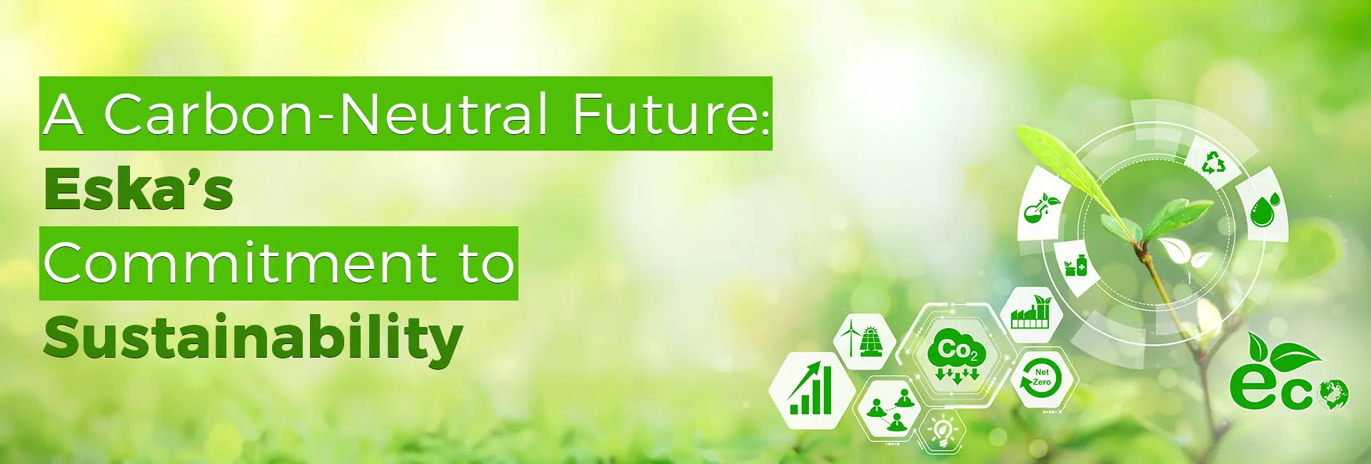 A Carbon-Neutral Future: Eska’s Commitment to Sustainability